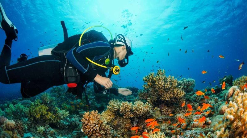 scuba diving UAE