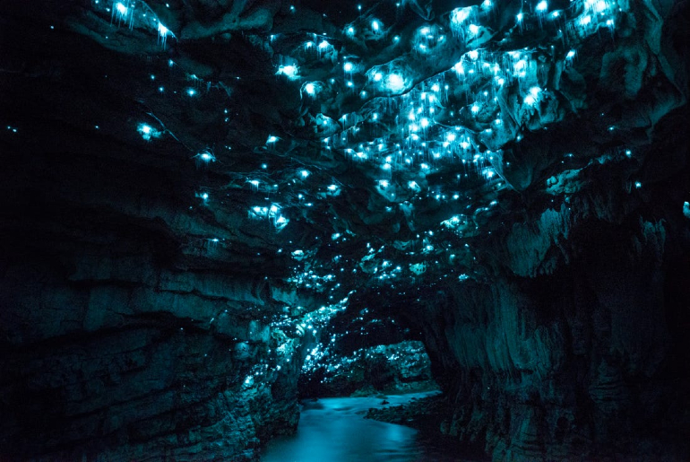 New Zealand Glow Worm Caves