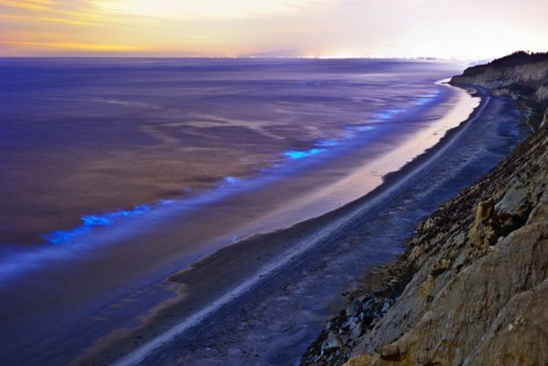 sea of stars beach maldives