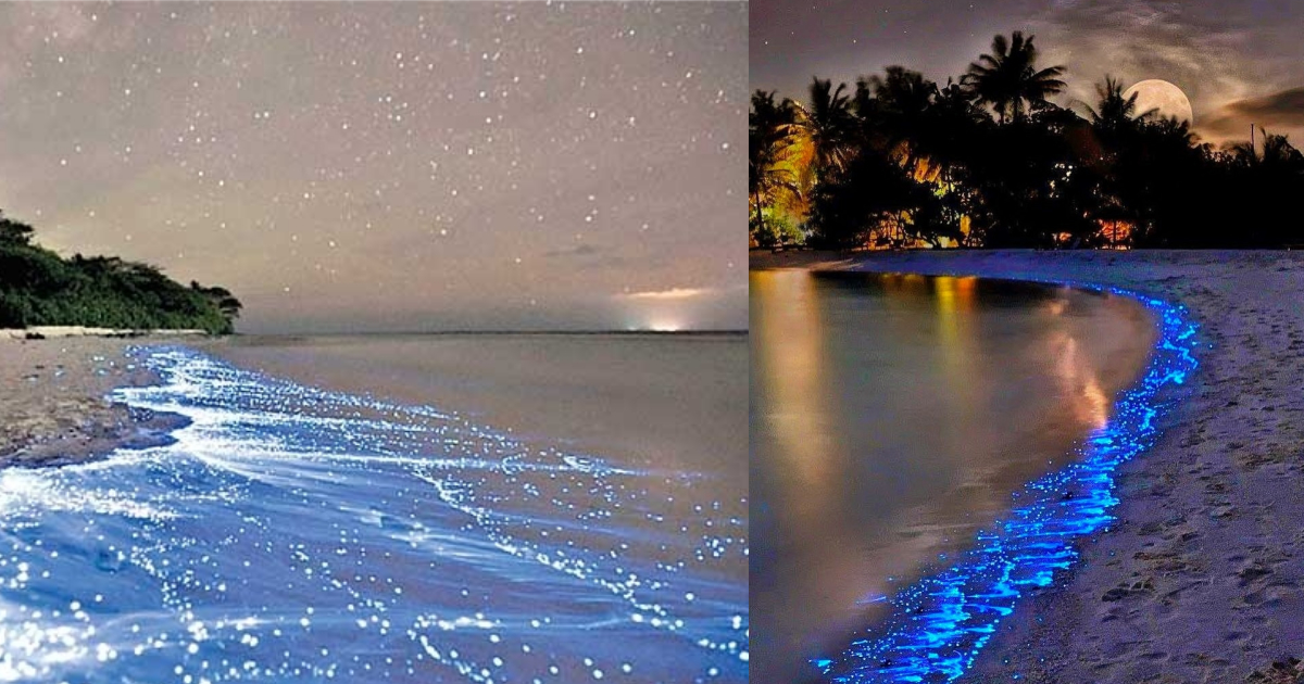 This Glow-In-The-Dark Beach In Maldives Has Sea Of Stars To Swoon You Over