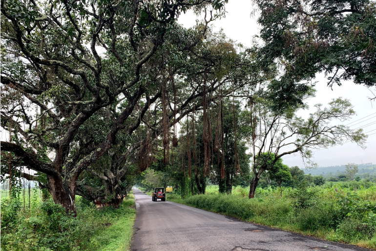 long road trip from mumbai