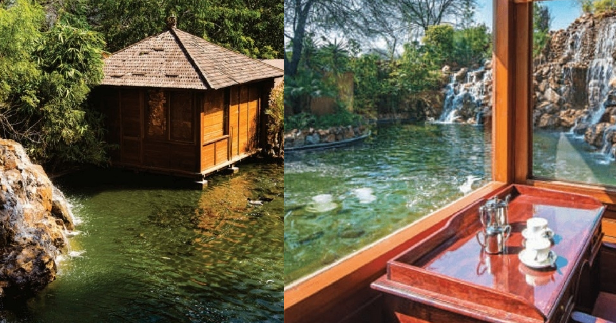 The Tree House Resort In Jaipur Has Cottages Over Water, Glass Floors & Mini Waterfalls