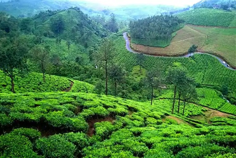 Vagamon Kerala Green Checkposts