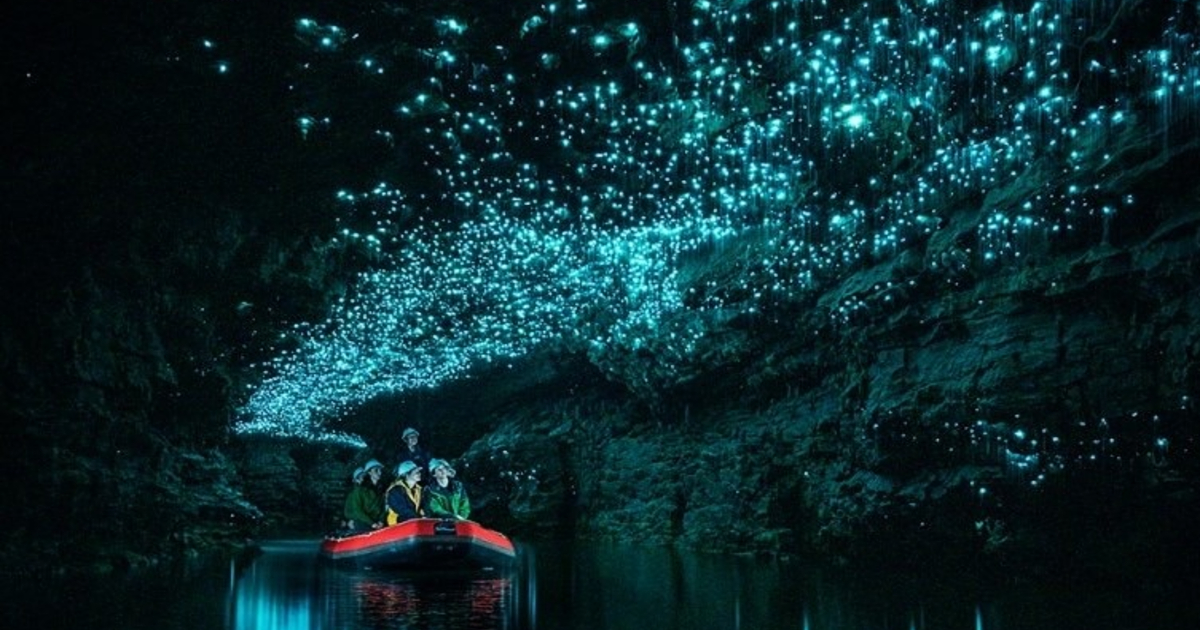 New Zealand’s Glow Worm Caves Glimmer Naturally With Countless Dots Of Blue Lights 