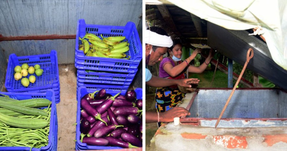 Odisha Now Has Sabji Coolers To Help Farmers Store Vegetables & Keep Them Fresh