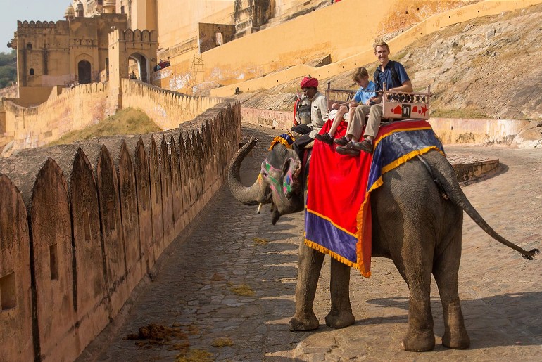 Elephant Rides At Jaipur Amer Fort