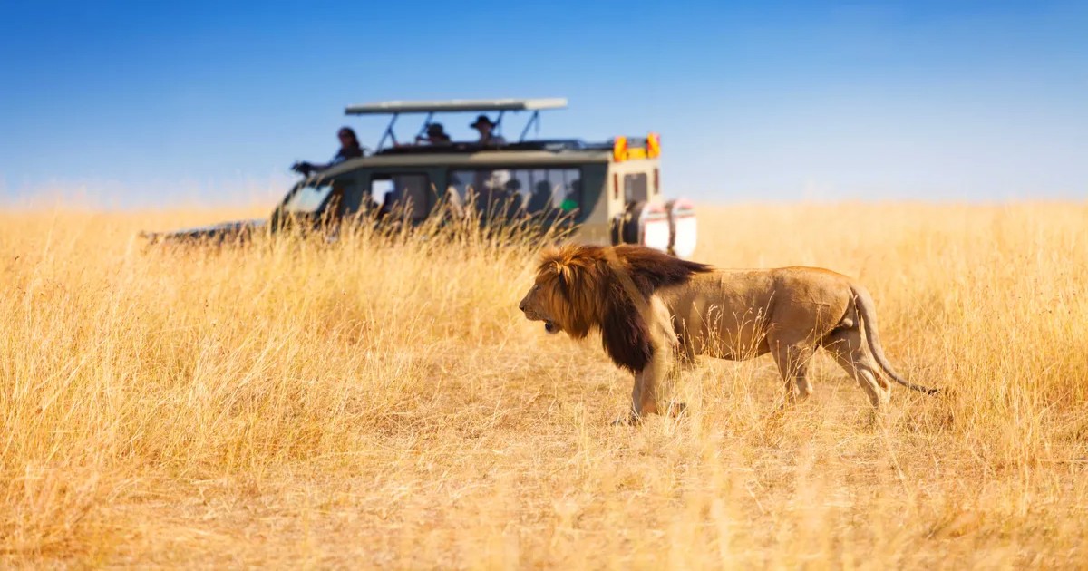 A 100-Crore African Safari Is Coming To Nagpur And We Can’t Wait!
