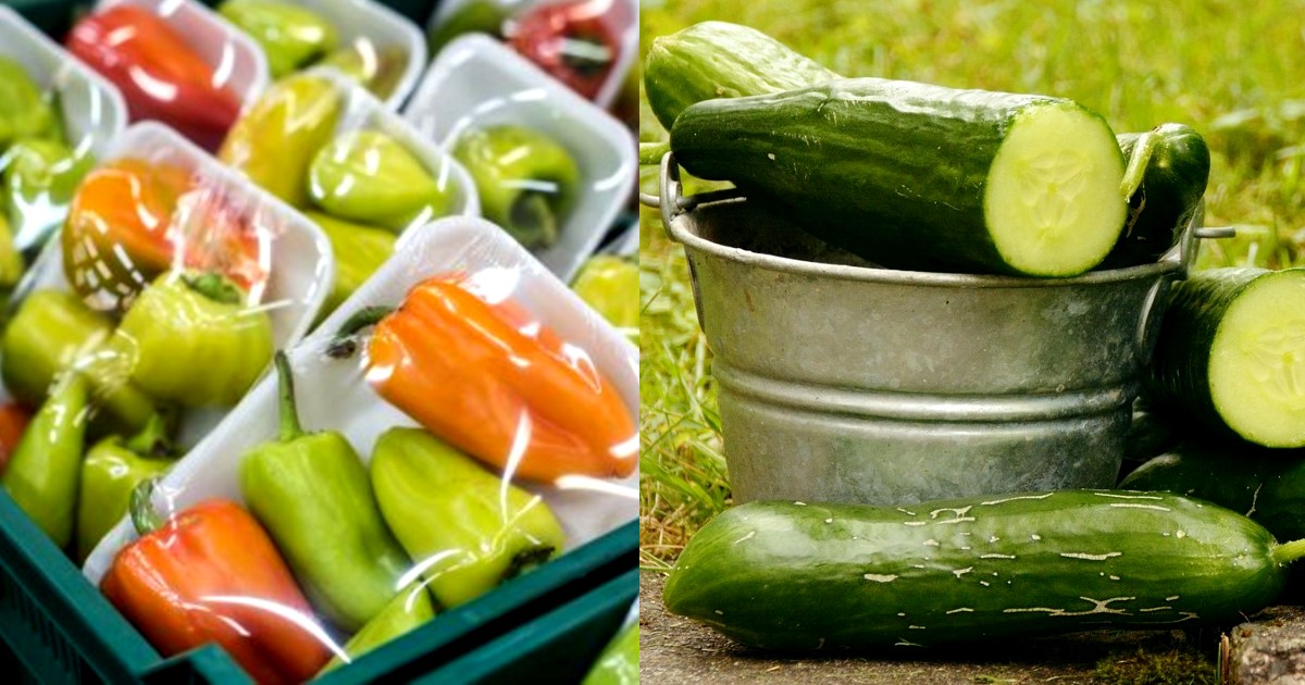 Eco-Friendly Food Packaging Made From Cucumber Peels Will Soon Replace Plastic