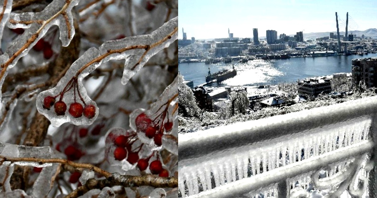 Ice Storm In Russia’s Vladivostok Makes City Look Like A Glass House; No Electricity For Days
