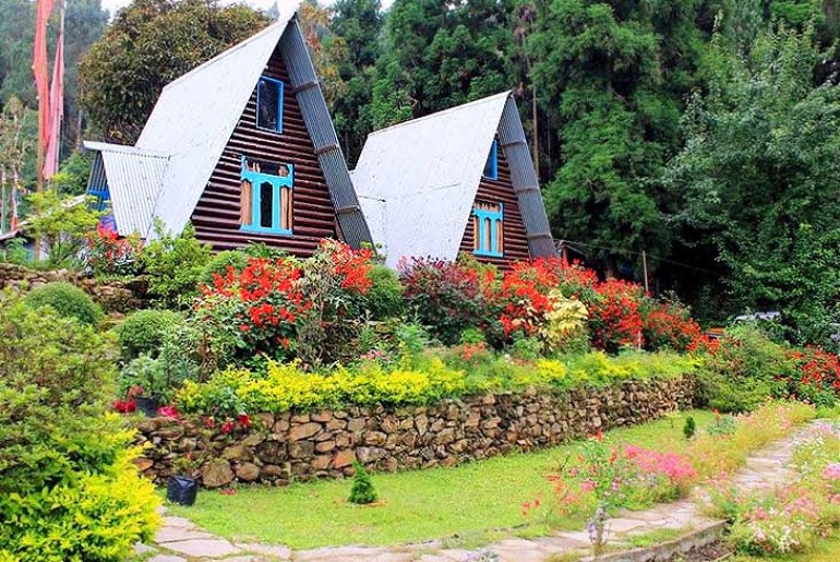  Homestay Near Darjeeling