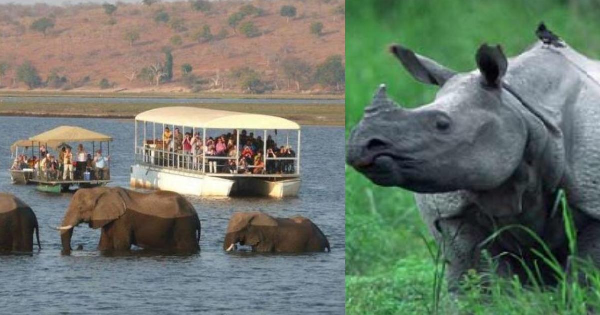 Tourists Can Now Explore Kaziranga In A Eco-Friendly Manner On Boats & Bicycles