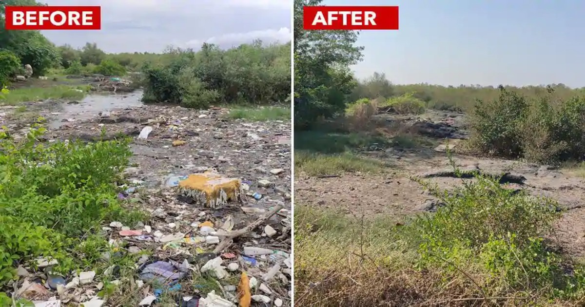Navi Mumbai Mangroves Undergo Makeover; 7000kg Trash Removed In 15 Weeks