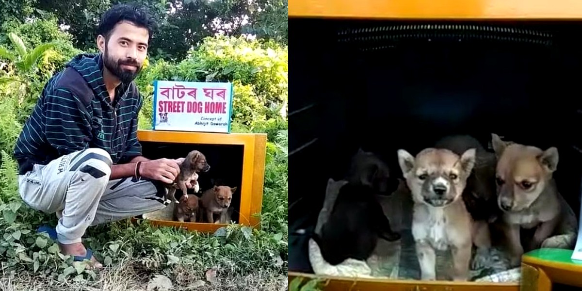 Assam Man Transforms Old TV Sets Into Kennels For Puppies And Its Pawsome!