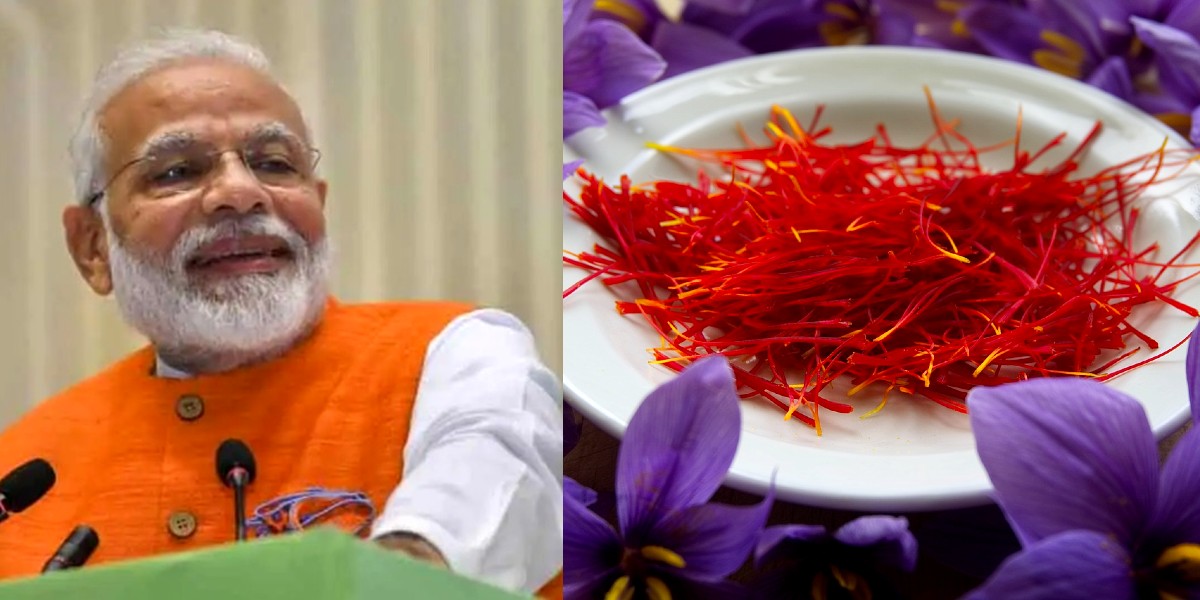 PM Modi Urges Indians To Buy Kashmiri Saffron & Make It Popular Globally