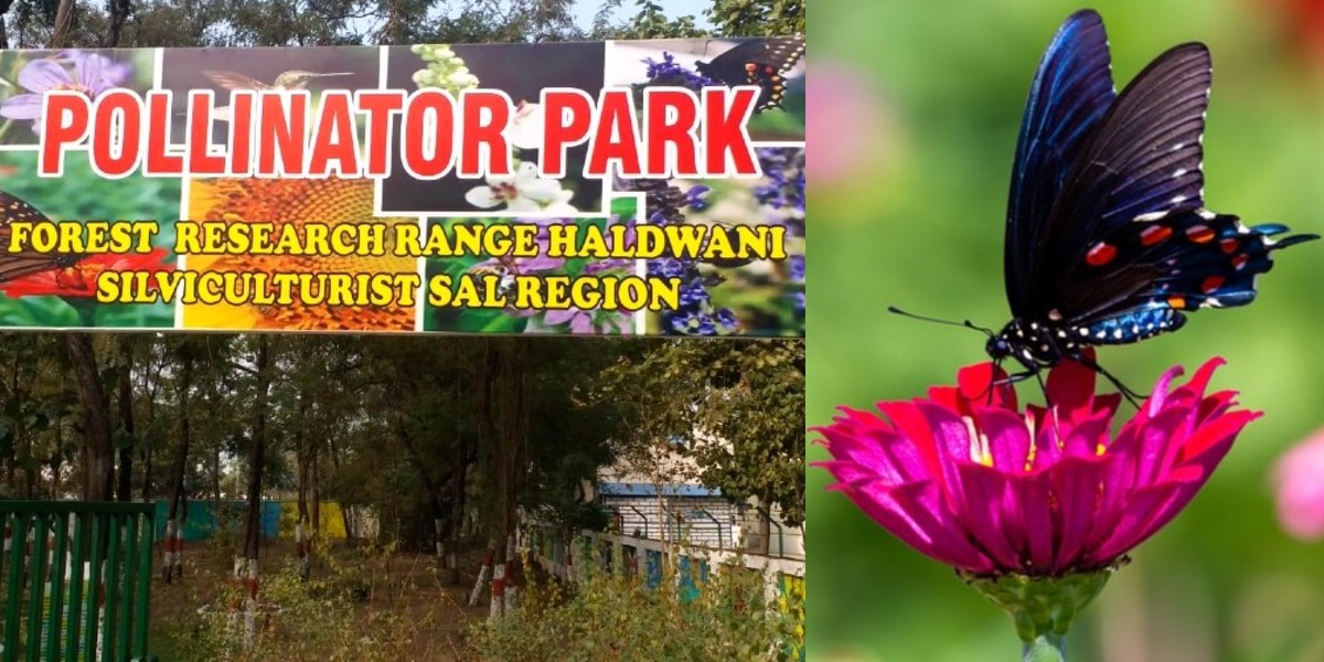 Uttarakhand Has India’s First Pollinator Park With 40 Species Of Butterflies, Birds & Insects