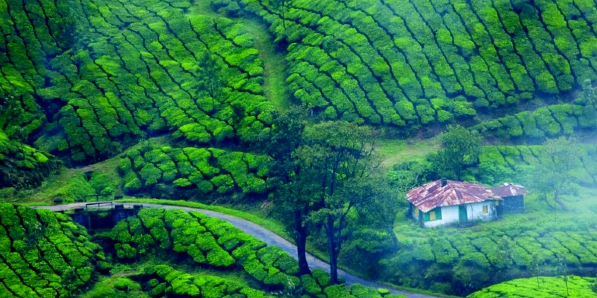 Munnar Tourism To Go Green With Green Corridors & Shops For Eco Friendly Essentials