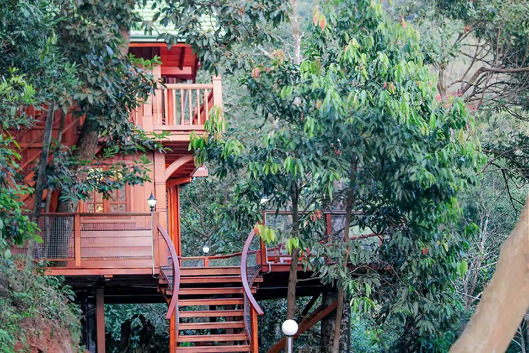 Tree House Coorg Coffee Plantations 