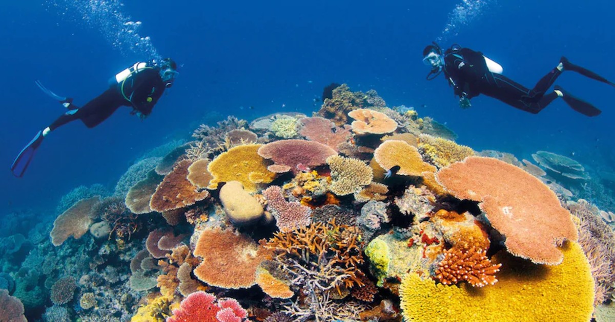Australia’s Great Barrier Reef Now On UNESCO’s Endangered List; Half Of Its Corals Lost Due To Climate Change