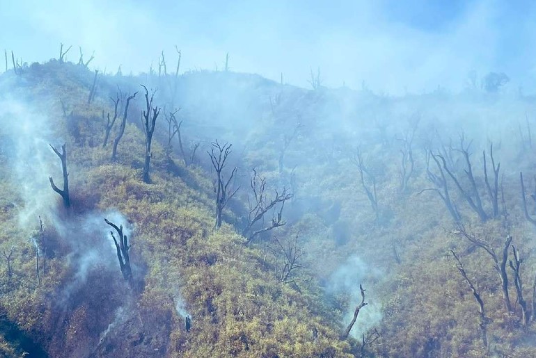Wildfire Dzuko Valley On Nagaland- Manipur