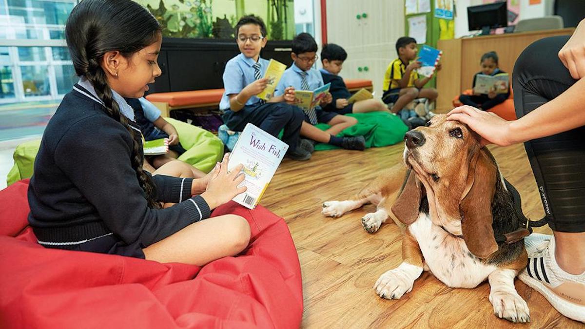 Dubai School Hires A Therapy Dog To De-stress Children