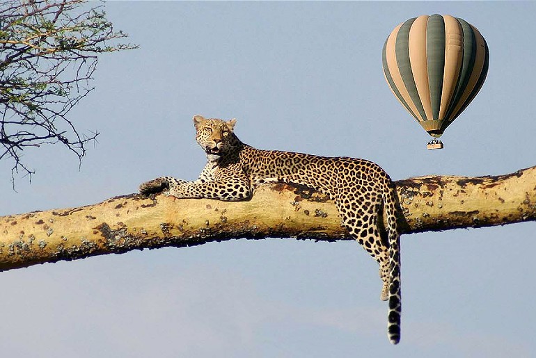 India's First Ever Hot Air Balloon Safari