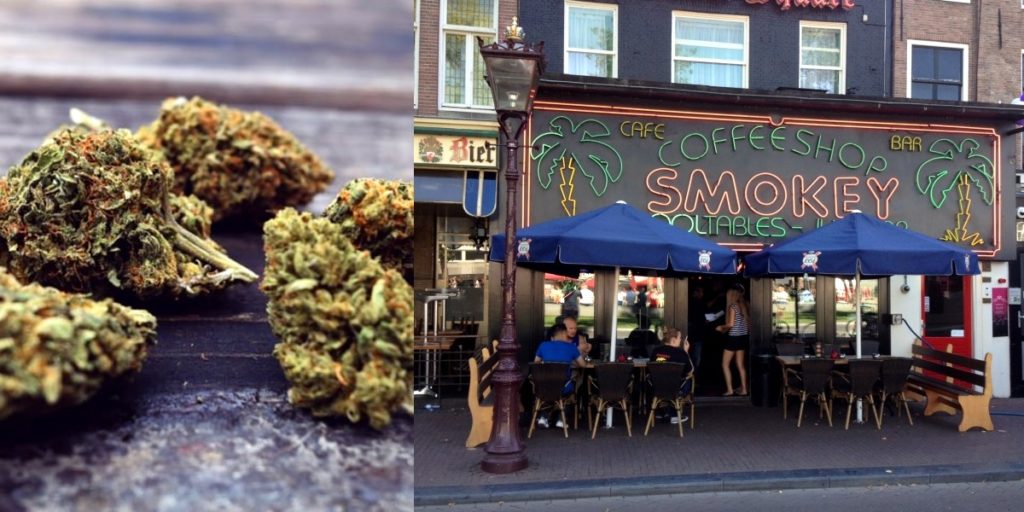 amsterdam weed cafes