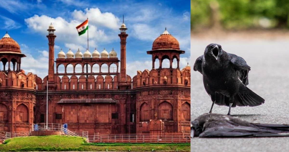 Red Fort Closed Till Republic Day After Dead Crows Test Positive For Bird Flu