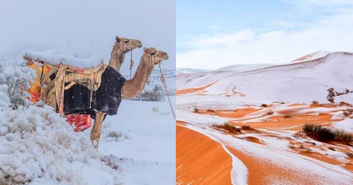 Sahara Desert Is Covered In Glistening Snow & It Looks Nothing Less Than A Fairytale
