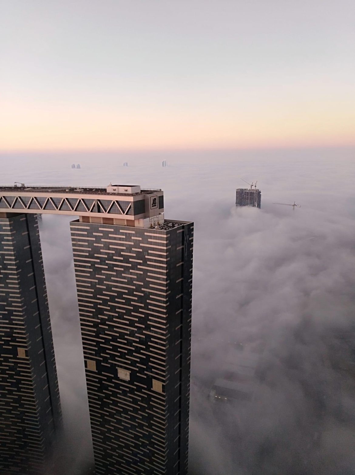 In Pics: UAE Wakes Up Under A Blanket Of Thick Fog | Curly Tales