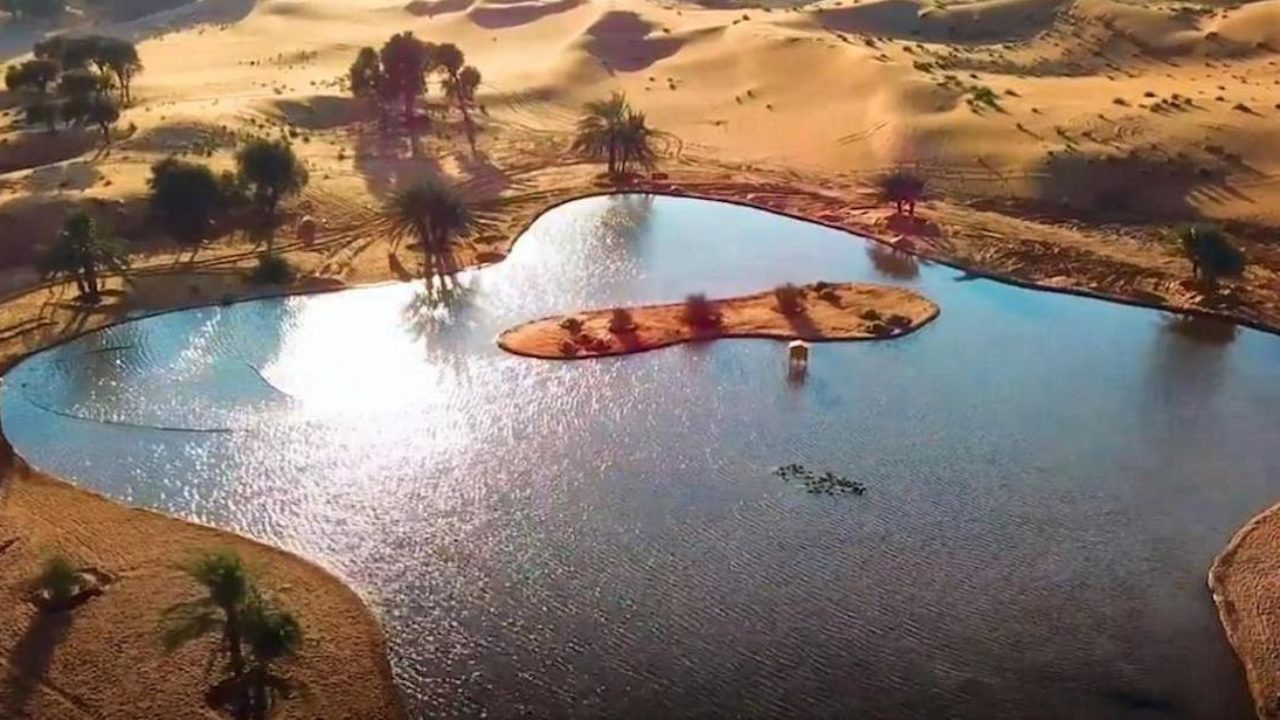 Al-Batha-Nature-Reserve-1280x720.jpg