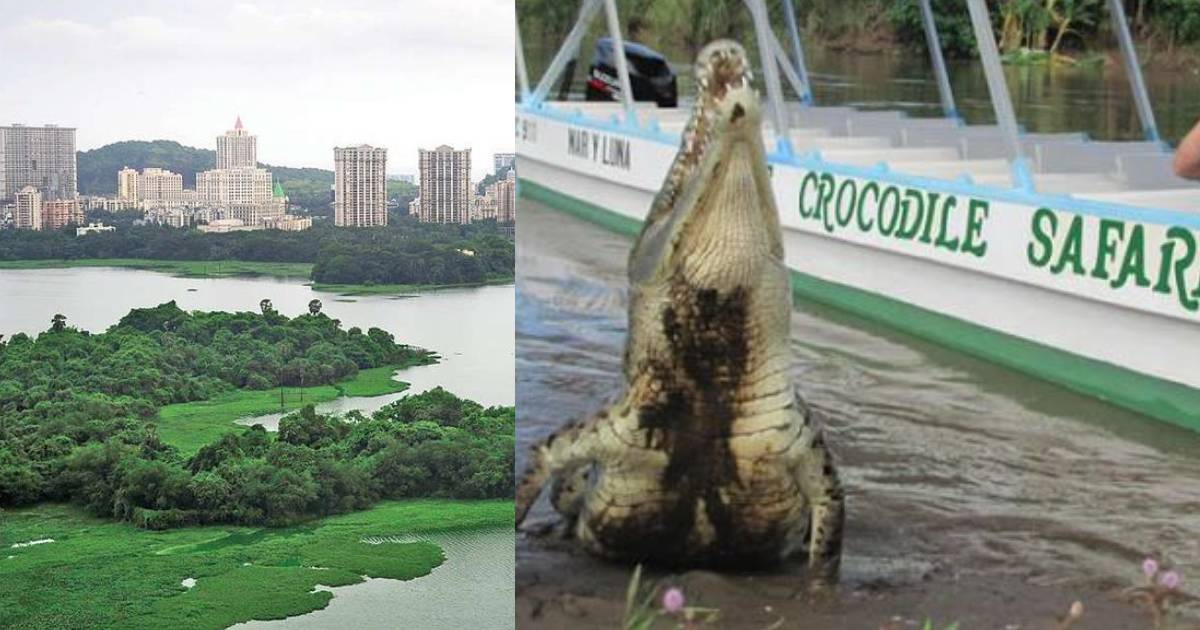 Mumbaikars Can Soon Take A Crocodile Safari In Powai Lake
