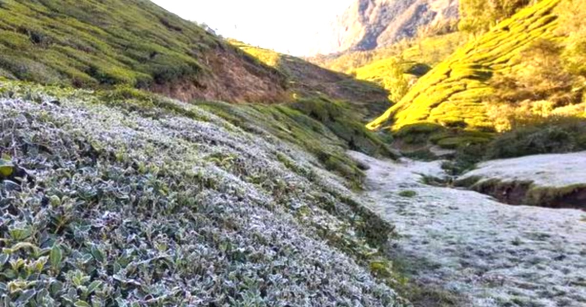 Kerala’s Gorgeous Hill Station Munnar Freezes As Temperature Drops To -2°C