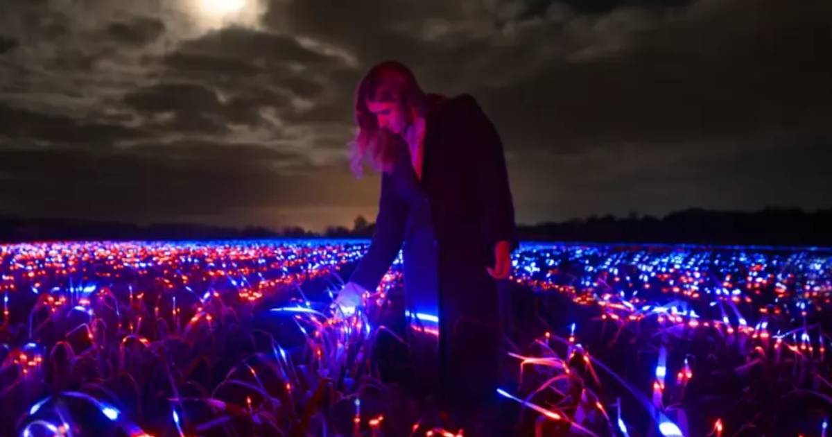 This Town Installed LED Lights In Fields To Help Plants Grow & The Visuals Are Stunning