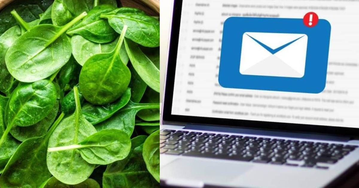 Spinach Can Now Send Emails & Social Media Users Can’t Wait To Receive Them