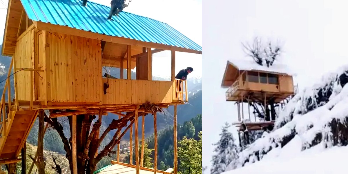 Live In The Clouds At This Himachal Treehouse At 10,500Ft With Breathtaking Mountain Views