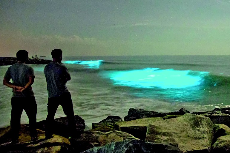 glow in the dark places in india
