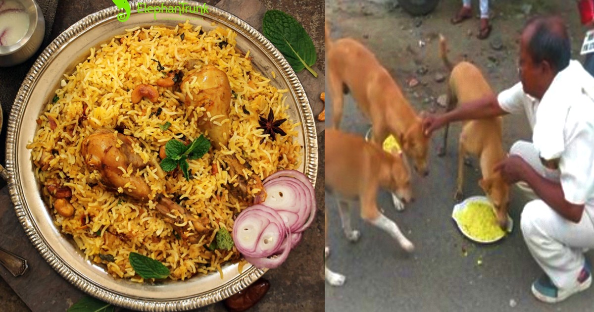This Nagpur Man Has Been Feeding Chicken Biryani To Stray Dogs Since COVID-19 Pandemic Hit India