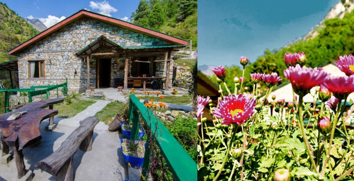 Spend A Vacation At These Himalayan Cottages In Himachal Surrounded By Pretty Tulips & Streams