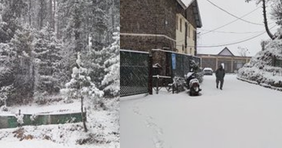 Himachal Pradesh Witnesses Fresh Snowfall; Shimla Turns Winter Wonderland