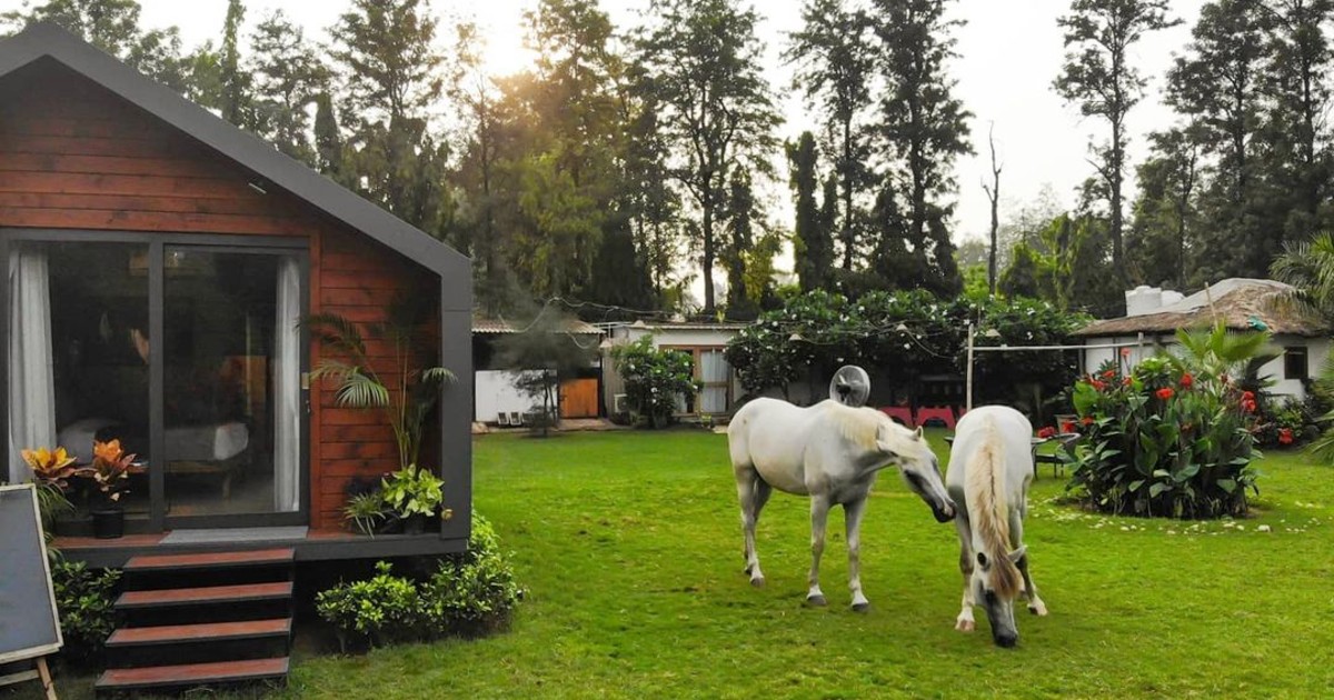 This Rustic Cottage In Delhi With Horses Is Perfect For A Fantasy Staycation Within City Limits