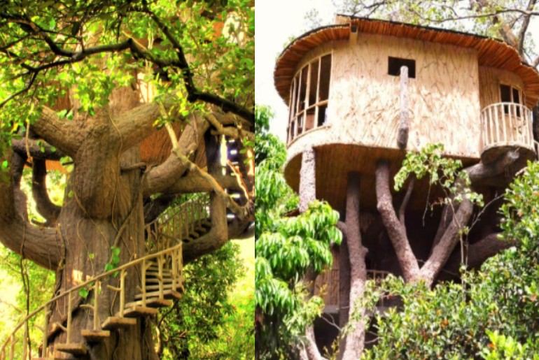 Treehouse Resorts Near Delhi