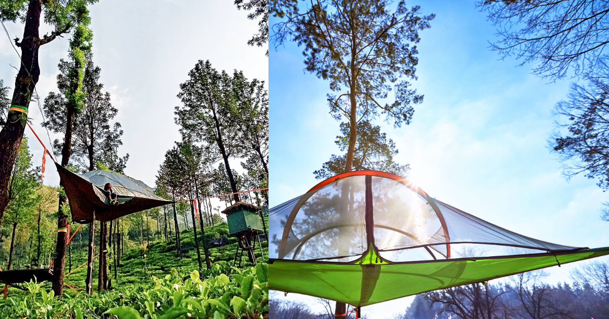 Sleep In A Tent Suspended Above A Forest Estate In Kerala & Enjoy Wildlife Spotting