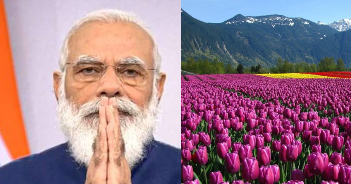 PM Modi Urges People To Visit Stunning Tulip Garden In J&K With 15 Lakh Varieties Of Flower