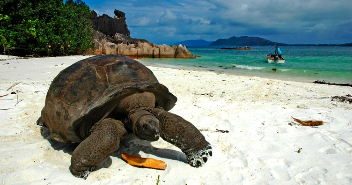 Seychelles