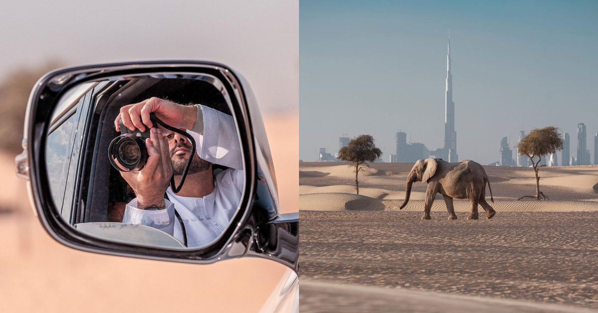 In Pictures: Sheikh Hamdan Shares Beautiful Images Of Elephant And We Are in Awe