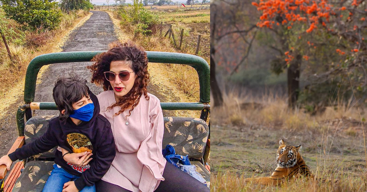 I Took My Li’l One For A Jungle Safari To Tadoba & It Was The Best Educational Trip Ever