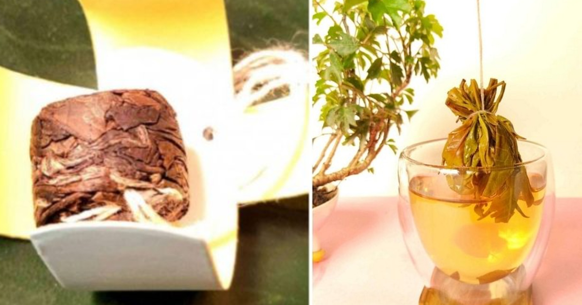 Assam Friends Invent World’s First Bag-Less Tea Bags That Are 100% Eco-Friendly
