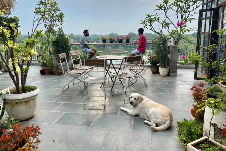 the lazy patio homestay delhi