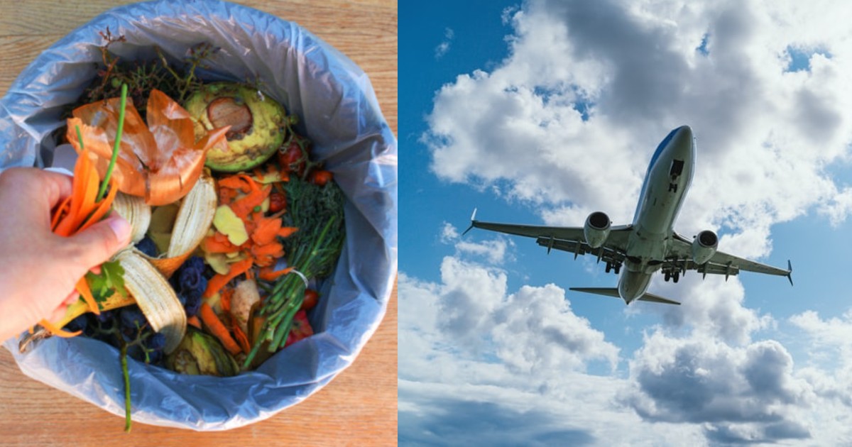 Food Waste To Be Transformed Into Fuel For Airplanes To  Reduce Carbon Emissions