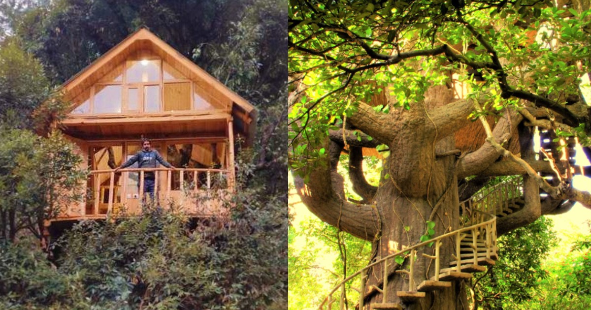 Treehouse Resorts Near Delhi: 6 Stays To Book For A Fun-Filled Weekend